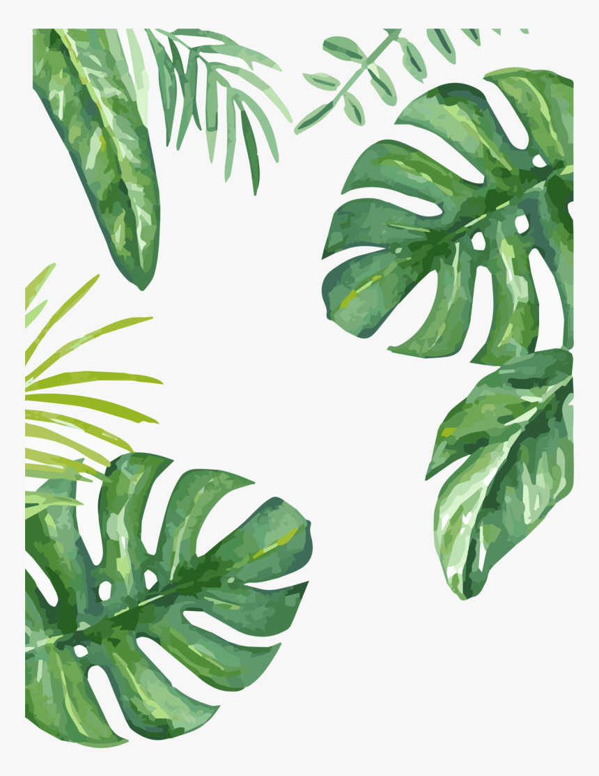 Leaf, HD Png Download