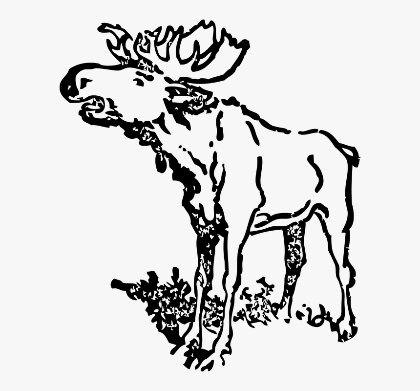 Black And White Moose Clip Art Realistic, HD Png Download