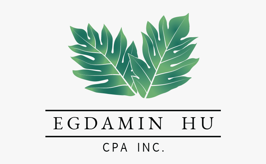 Green Monstera Leaf Logo - Label, HD Png Download