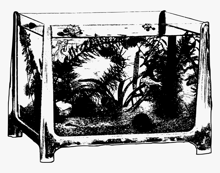 Fish Tank, HD Png Download