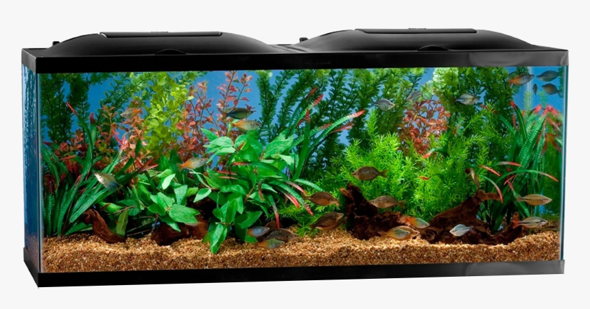 Marineland 55 Gallon Led, HD Png Download