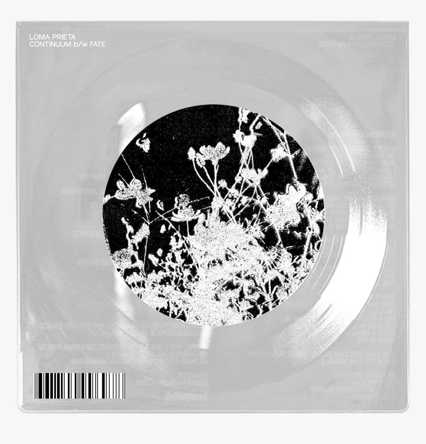 Loma Prieta Continuum B/w Fate 
 Class - Loma Prieta Continuum, HD Png Download