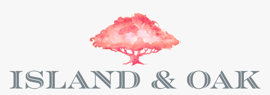 Island And Oaks - Conch, HD Png Download