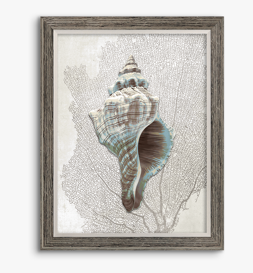 Picture Frame, HD Png Download