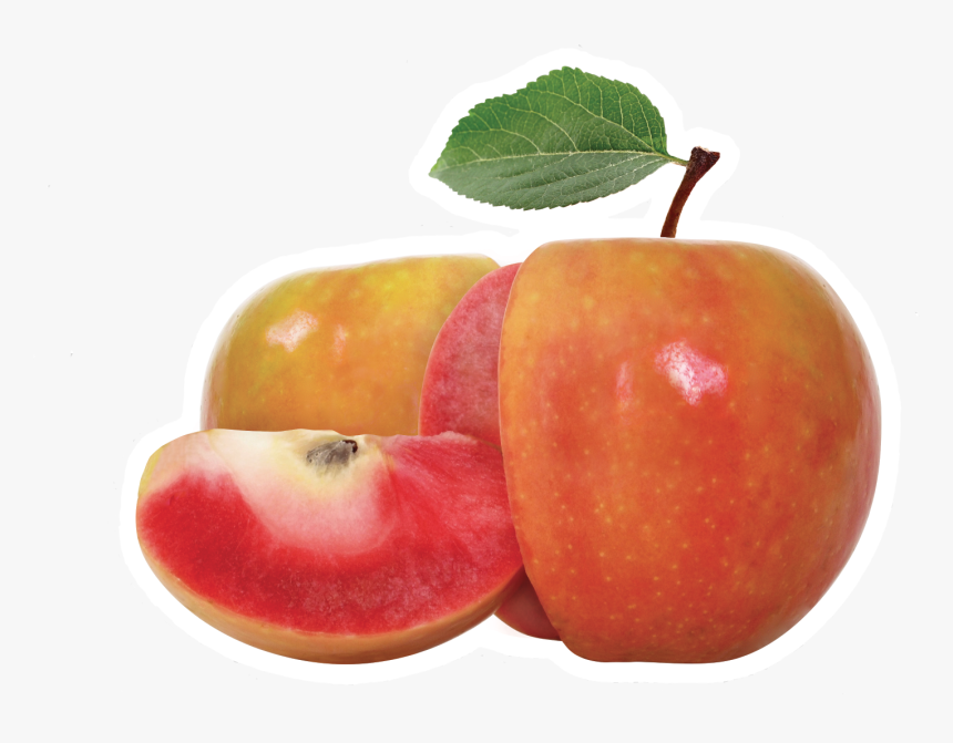 Lucy Glo Apple, HD Png Download