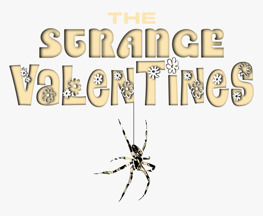 Tangle-web Spider, HD Png Download