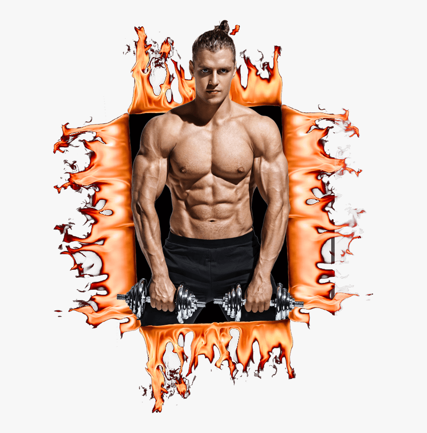 Bodybuilding, HD Png Download
