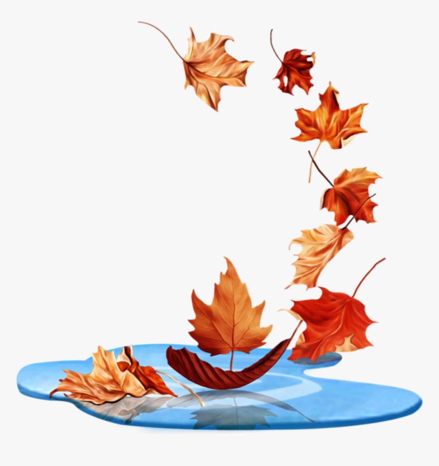 #ftestickers #waterpuddle #leaves #falling #autumn - Maple Leaf, HD Png Download