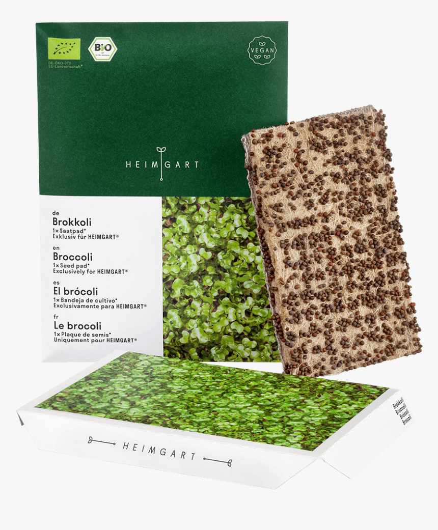 Microgreen, HD Png Download