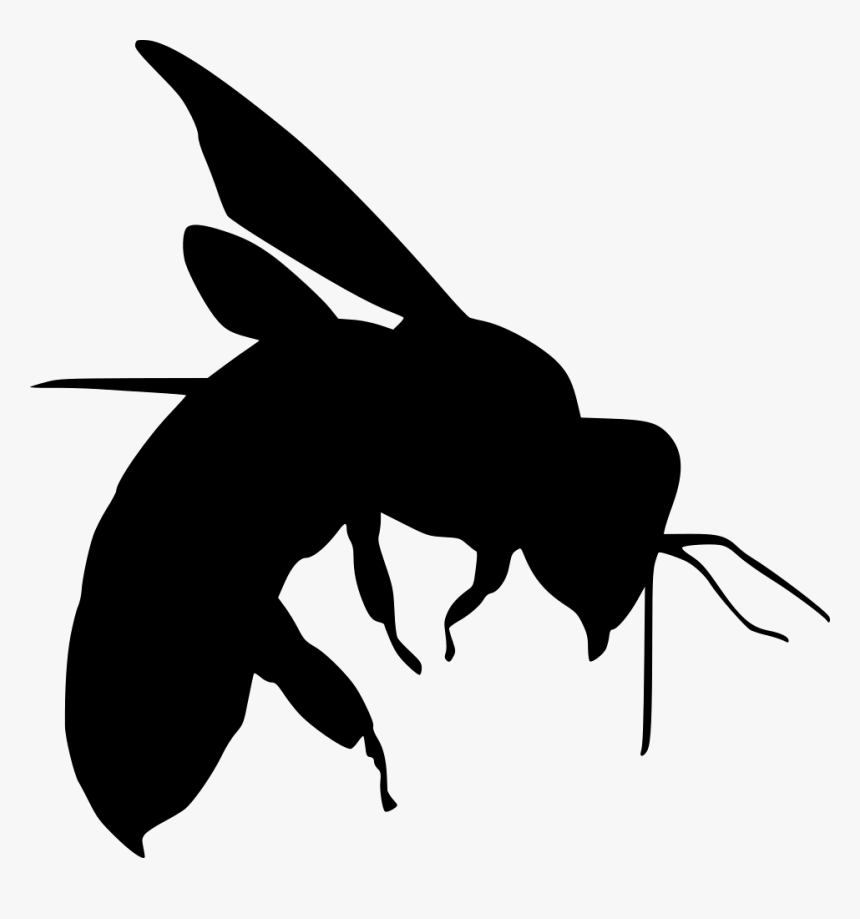Bee - Stencils Design Birds, HD Png Download