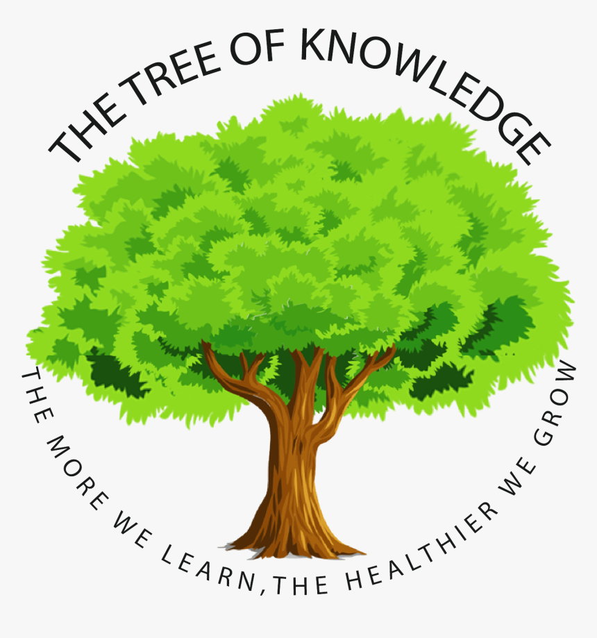 Obesity Prevention Foundation Of America - Elm, HD Png Download