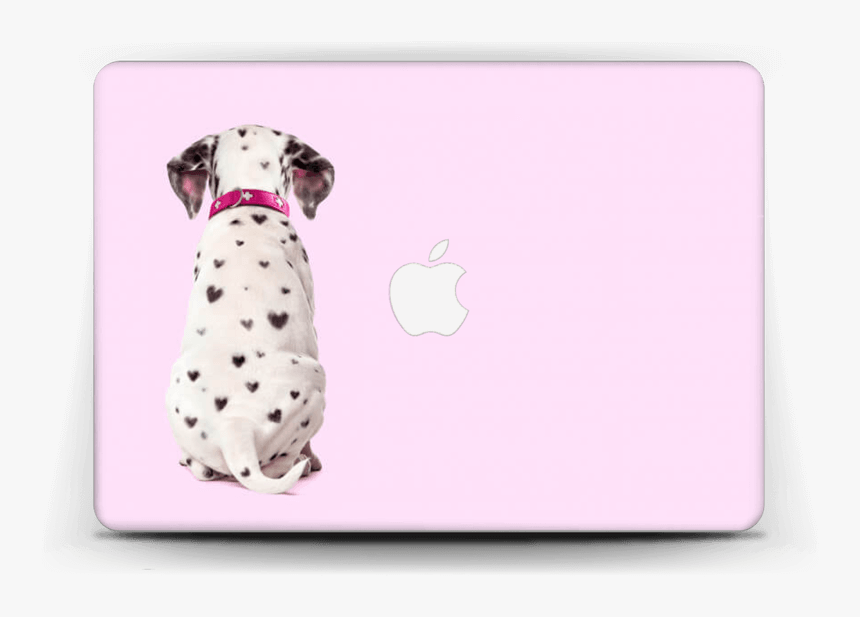 Dalmatian Poster, HD Png Download