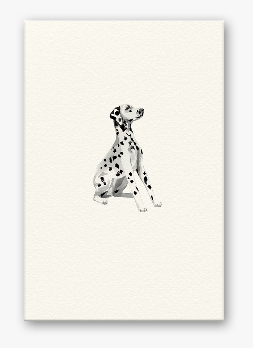 Dalmatian, HD Png Download