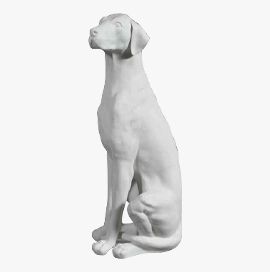 Dalmatiandog White Side, HD Png Download