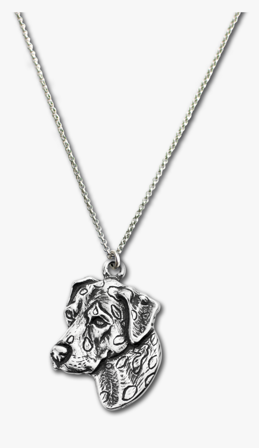 Dalmatian Png, Transparent Png