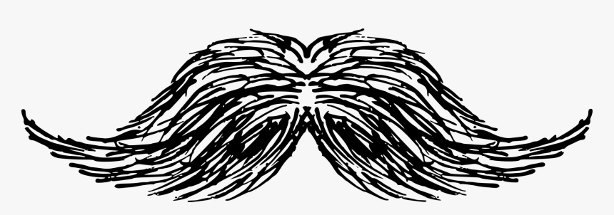 Mustache Drawing 2 - Illustration, HD Png Download
