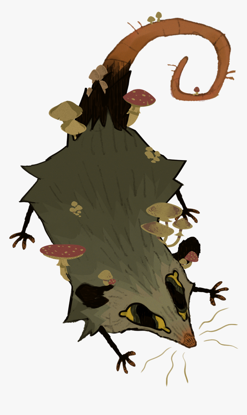 Mushroom Opossum - Illustration, HD Png Download