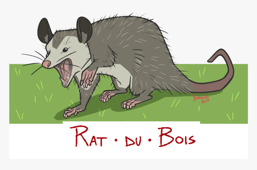 Over On Cajunwords, My Most Popular Post Above All - Rat, HD Png Download