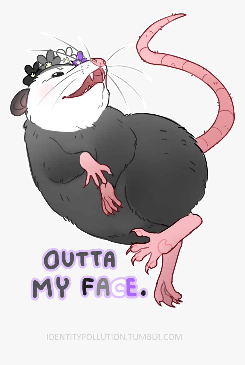 “today S Pride Opossum Of The Day Is Asexual Screw - Cat Yawns, HD Png Download