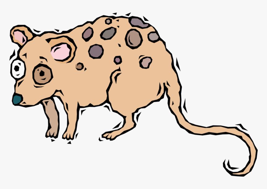 Vector Illustration Of Starry-eyed Opossum, HD Png Download