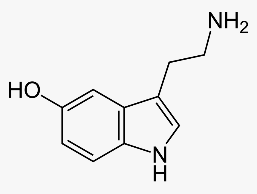 Serotonin Molecule, HD Png Download