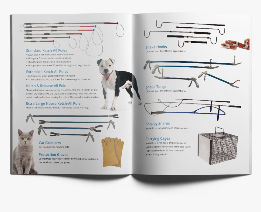 Ketch-all Brochure Design San Luis Obispo - Companion Dog, HD Png Download