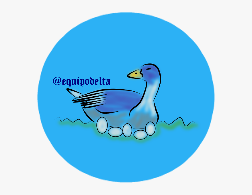 Arte-1 - Duck, HD Png Download