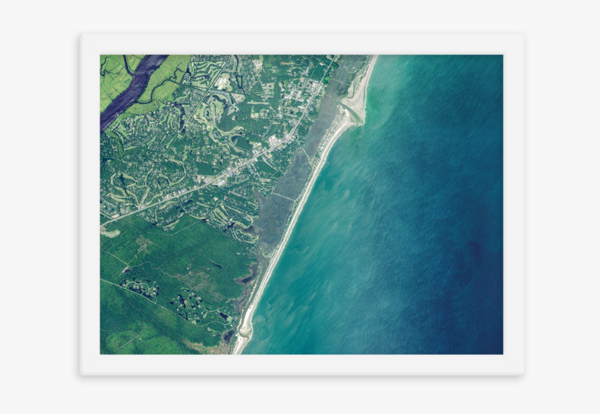 Birch, HD Png Download