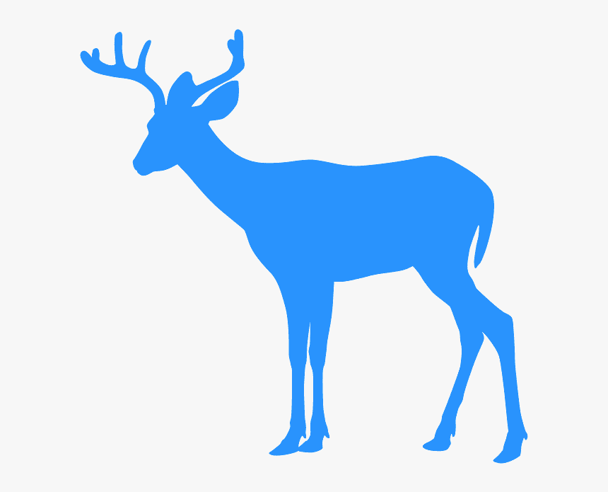 Deer Clip Art, HD Png Download