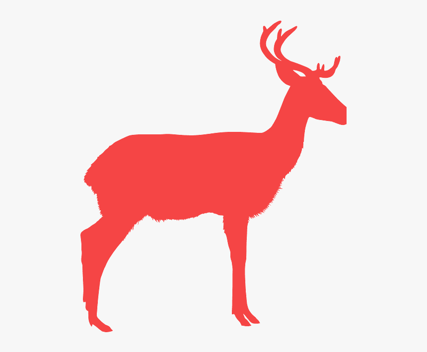 Deer Silhouette Color Transparent, HD Png Download