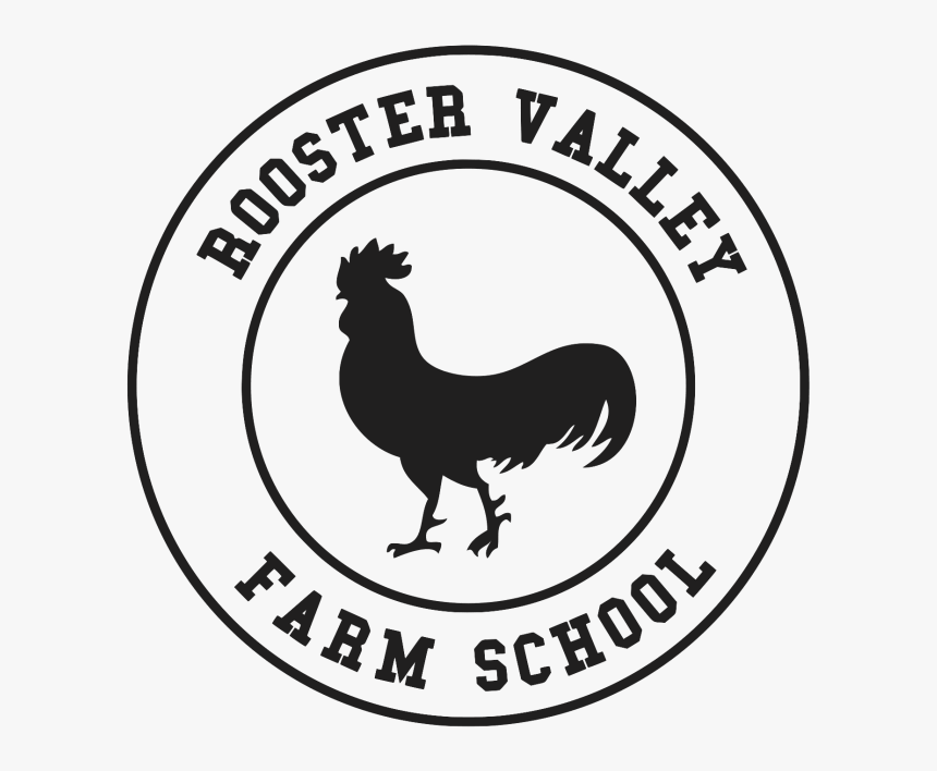 Rooster, HD Png Download