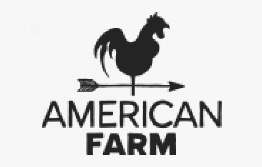 Client-03 - Rooster, HD Png Download