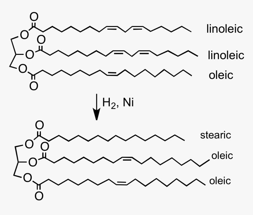 File - H2formargerin - Partial Hydrogenation, HD Png Download