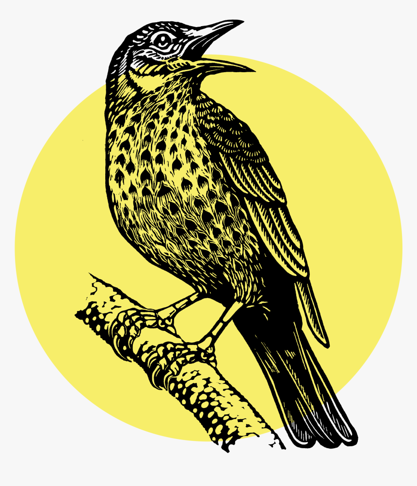 Music Declares Emergency, HD Png Download