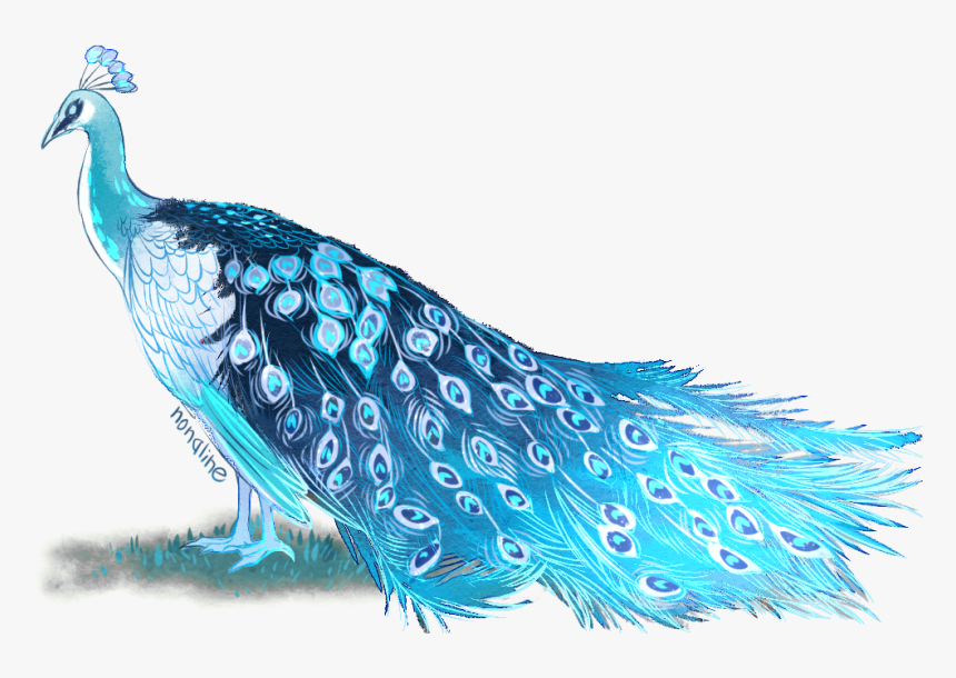 Izqjj8s - Peafowl, HD Png Download