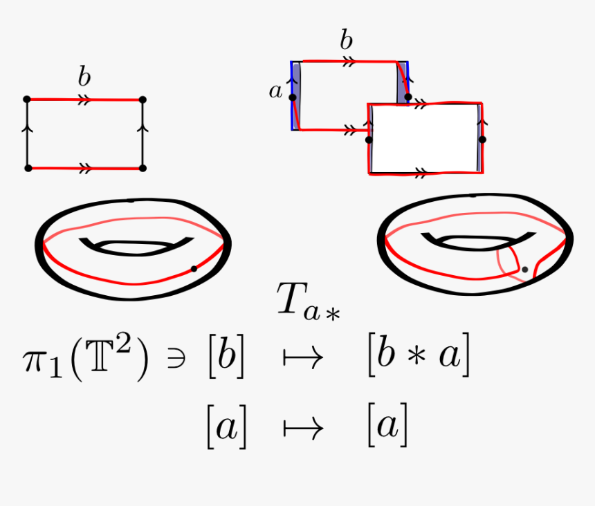 Dehn Twist Induced Isomorphism - T 2 R 2 Torus Closed Curves, HD Png Download