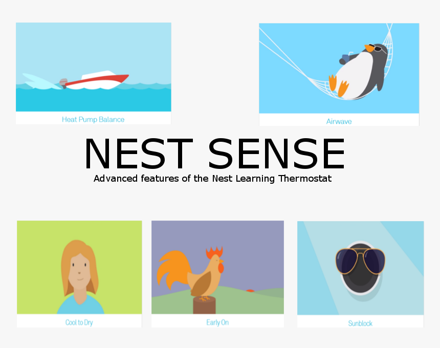 Nest Sense - Storm Chaser, HD Png Download