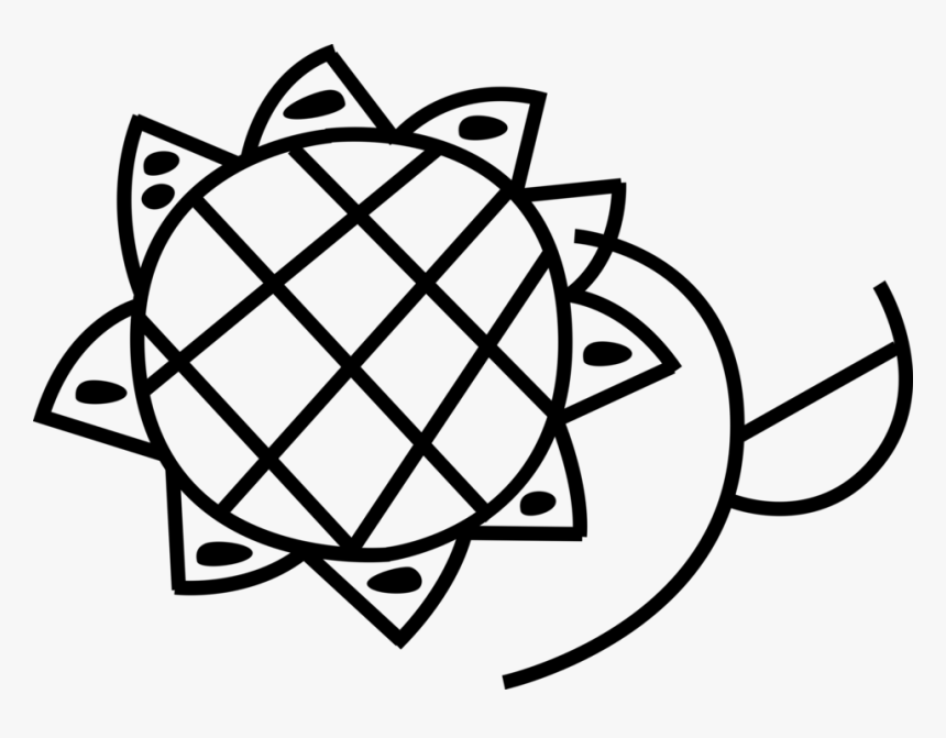 Vector Illustration Of Sunflower Garden Flower Plant - Illustration, HD Png Download