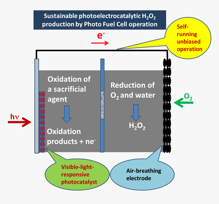 Diagram, HD Png Download
