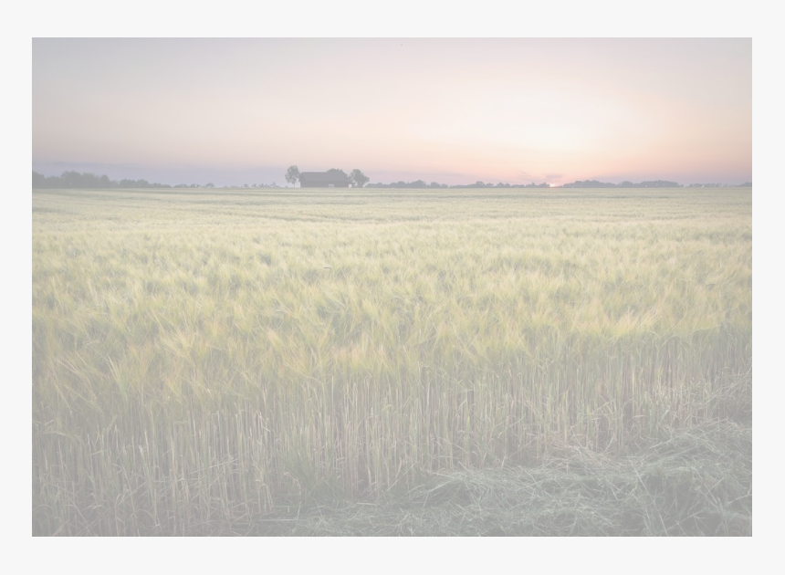 Hayfield Background, HD Png Download