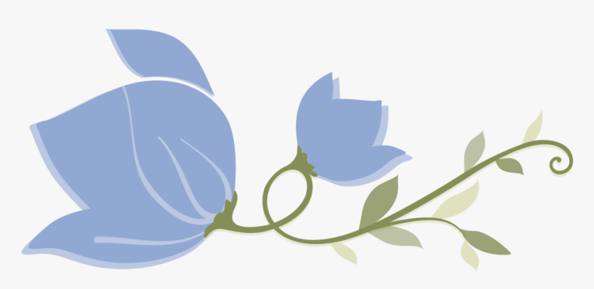 Flowers Clipart Blue Jasmine - Illustration, HD Png Download