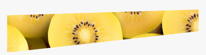 Hardy Kiwi, HD Png Download