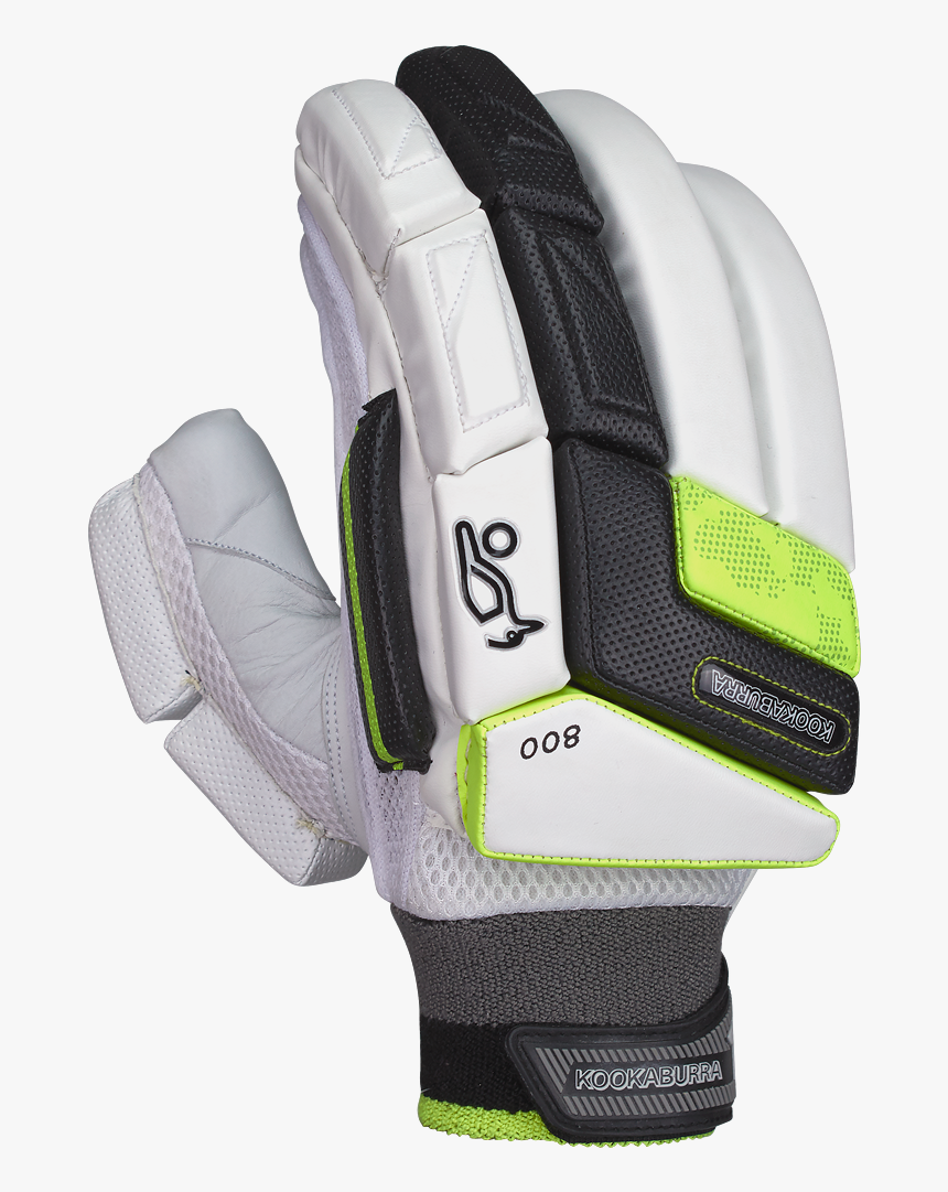 Cricket, HD Png Download