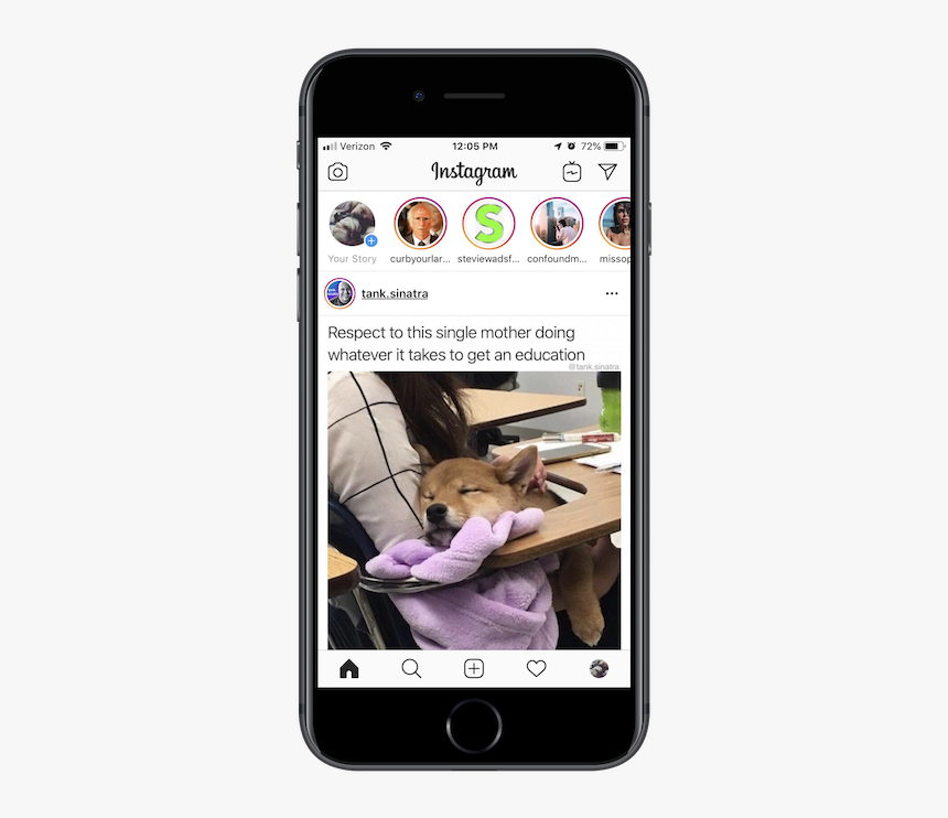Instagram App Search - Share Content Gif, HD Png Download