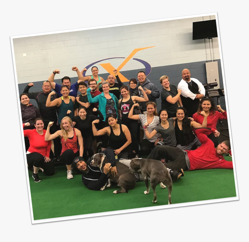Gym Png Images, Transparent Png