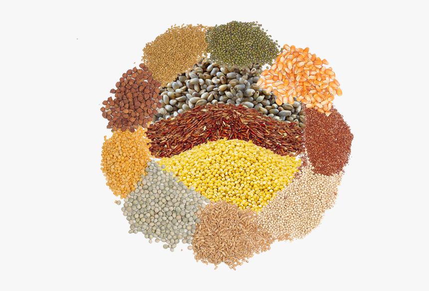 Promotion Icons - Pulse, HD Png Download