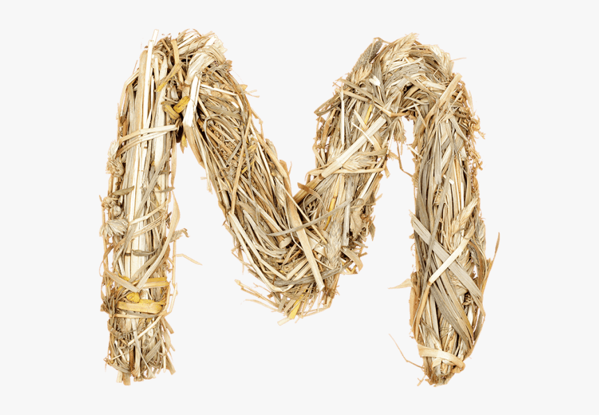 Networking Cables, HD Png Download