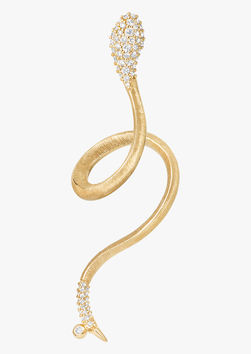 Indian Cobra, HD Png Download