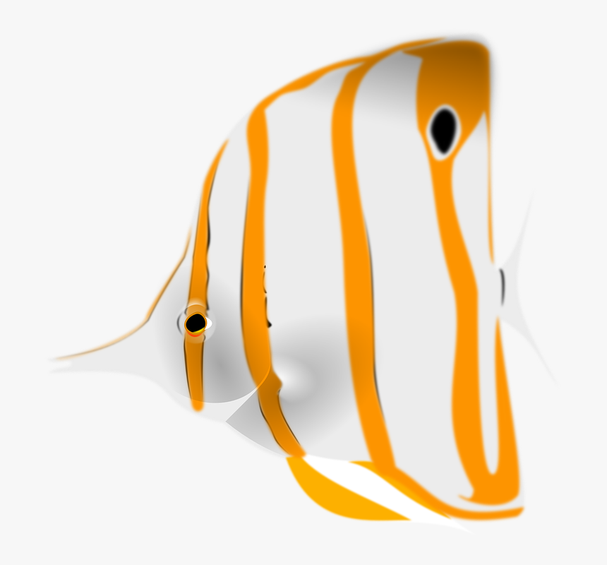 Copperband Butterflyfish Clipart, HD Png Download