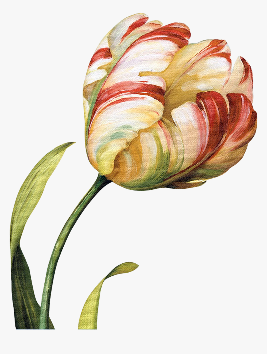 Tulips Flowers, Abstract Flowers, Flower Art, Botanical - Abstract Botanical Flowers, HD Png Download